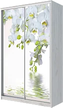Шкаф-купе 2-х дверный с фотопечатью Белая орхидея 2400 1200 620